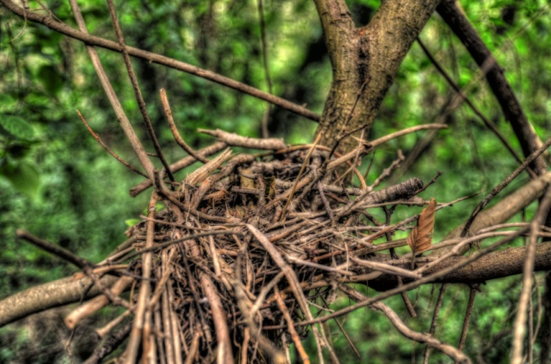entrecasteaux-home-bresque-nest.jpg